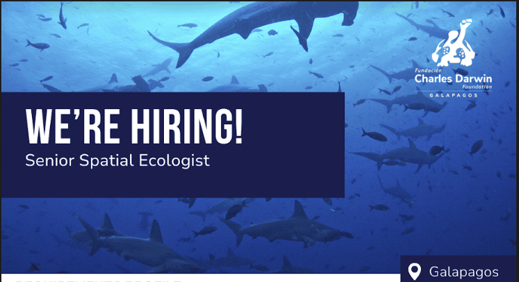 Senior Spatial Shark Ecologist – 4 year contract – Galapagos | Deadline 25th August 2024