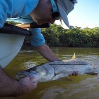 Steven-Cooke-2019-600x600-200x200